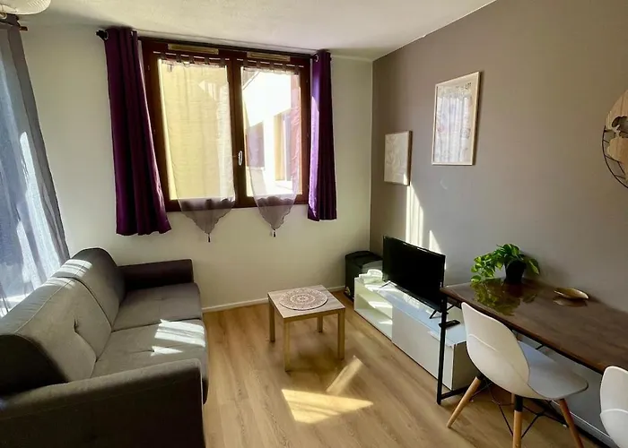 Du Pont Valentre - Avec Lit Double Et Parking *